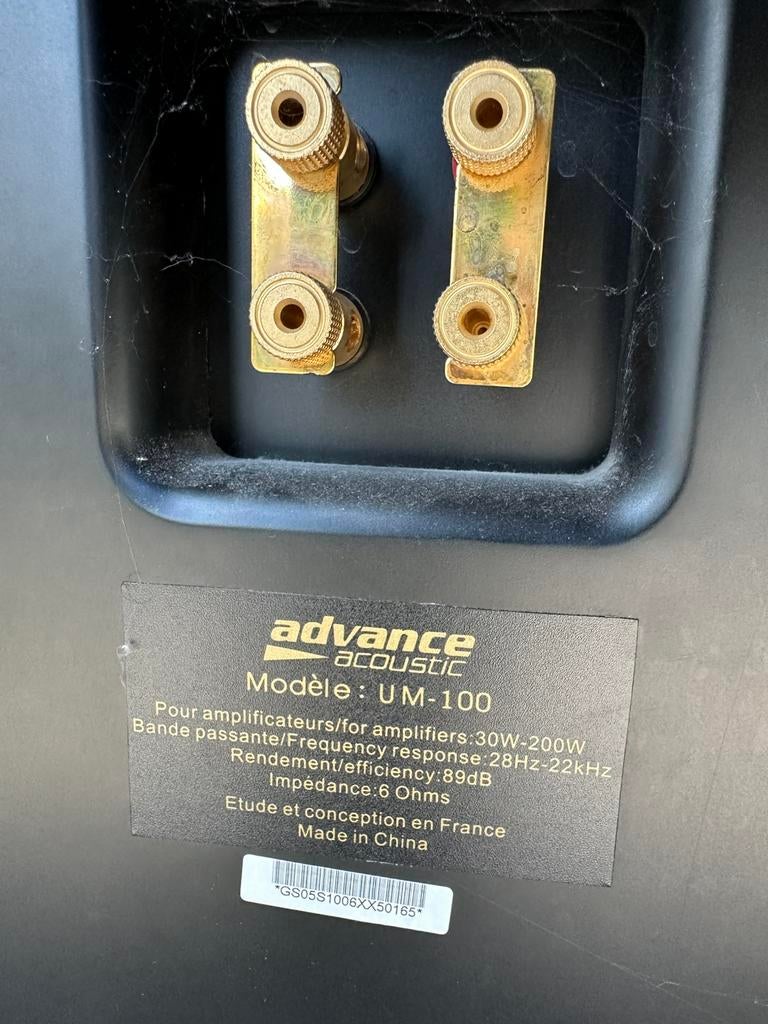 Enceintes HIFI ADVANCE ACOUSTIC, Comme neuf, Enlèvement, 120 watts ou plus, Haut-parleur central