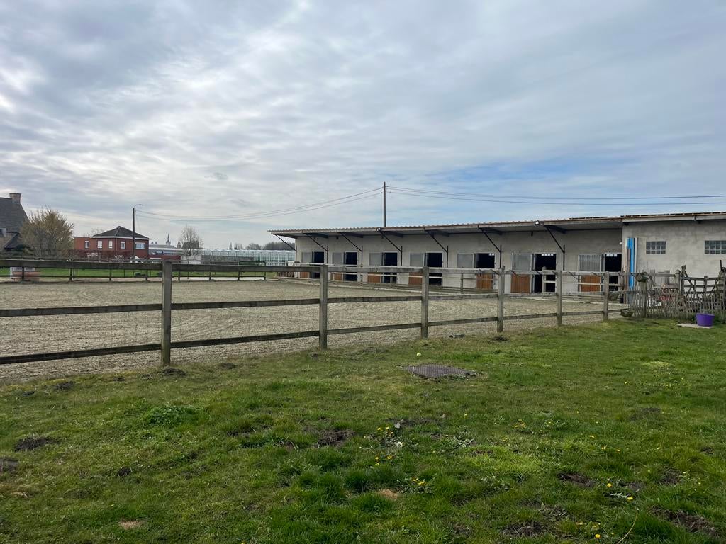 Stal aan huis met weidegang, Dieren en Toebehoren, Weidegang, 1 paard of pony