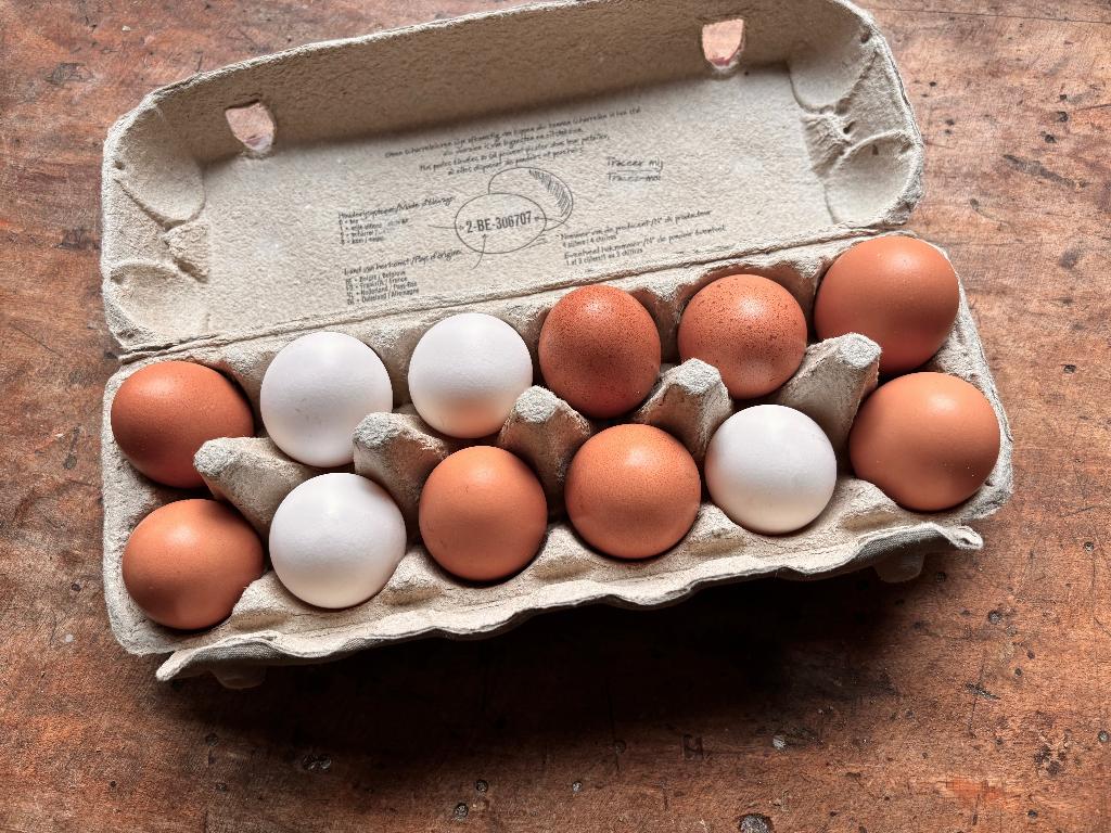 Verse eieren van scharrelkippen, vrije uitloop - per 12, Ophalen
