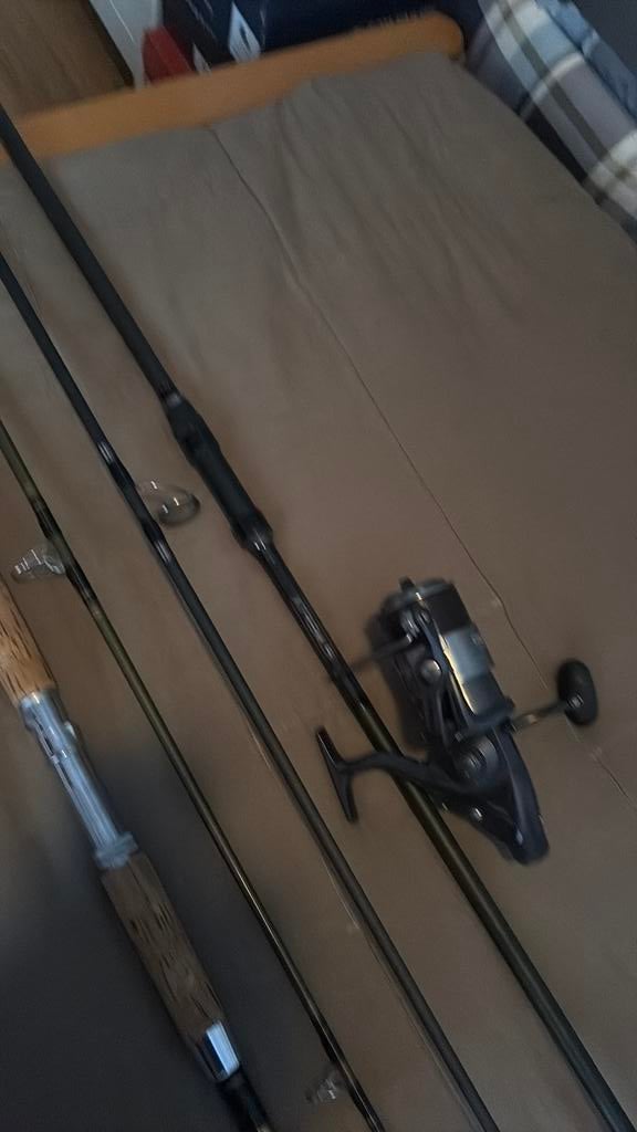 Canne à pêche carpe, Sports nautiques & Bateaux, Pêche à la ligne | Carpes, Enlèvement, Neuf