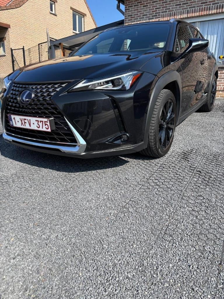 Lexus Lux 250h, Autos, Détection des panneaux routiers, Alcantara, 5 portes, Automatique
