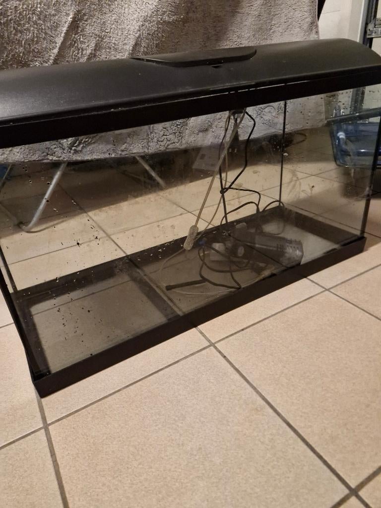 Aquarium 80cm, Dieren en Toebehoren, Vissen | Aquaria en Toebehoren, Ophalen, Verwarming, Gebruikt, Filter