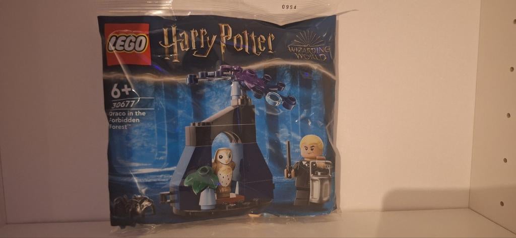 Harry Potter 30677 Draco in het Verboden Bos polybag, Boeken, Ophalen of Verzenden
