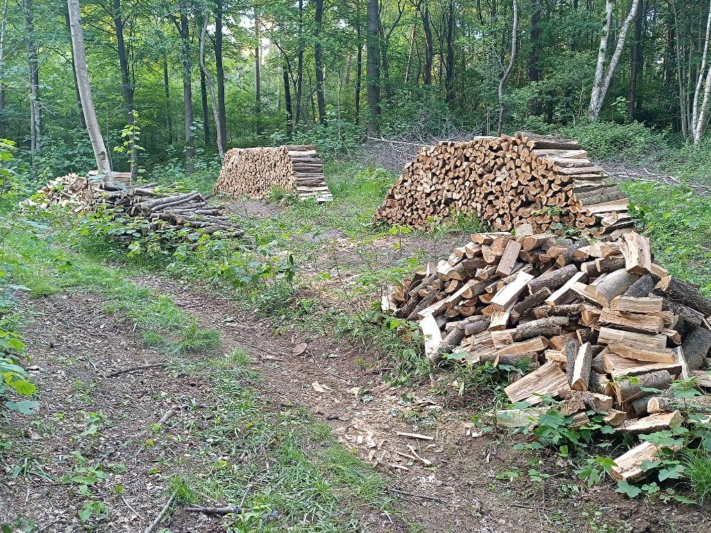 Bois de chauffage, Bois dur, sec de deux ans, Jardin & Terrasse, 6 m³ ou plus, Enlèvement ou Envoi, Chêne, Bûches