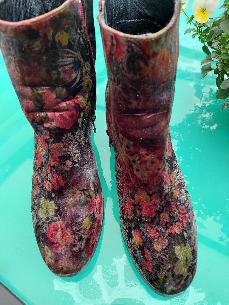 BOTTILLONS DAME T40, Ophalen, Overige kleuren, Lage of Enkellaarzen, Gedragen