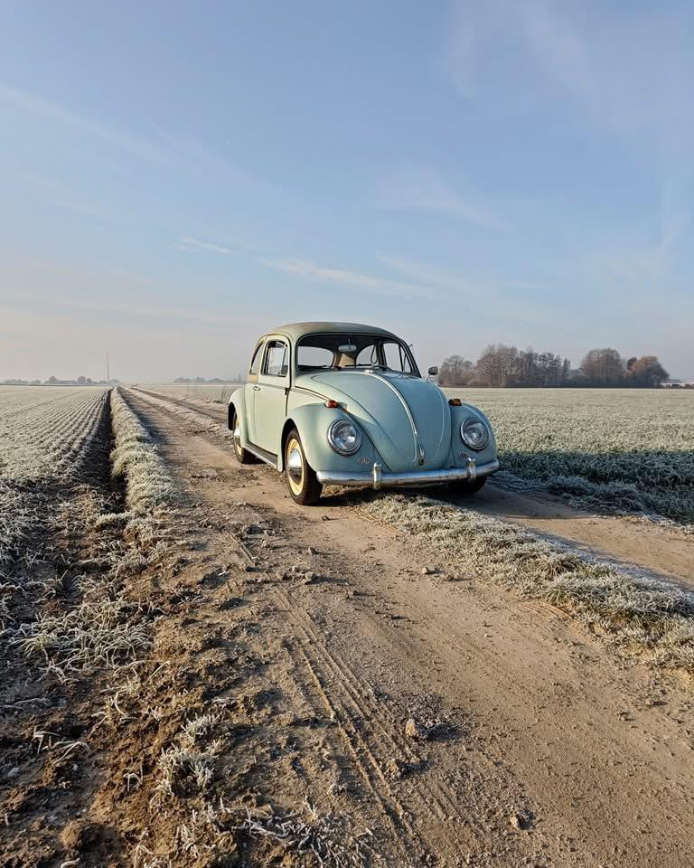 Volkswagen kever 1964, Beetle (Kever), Handgeschakeld, Particulier, 2 deurs