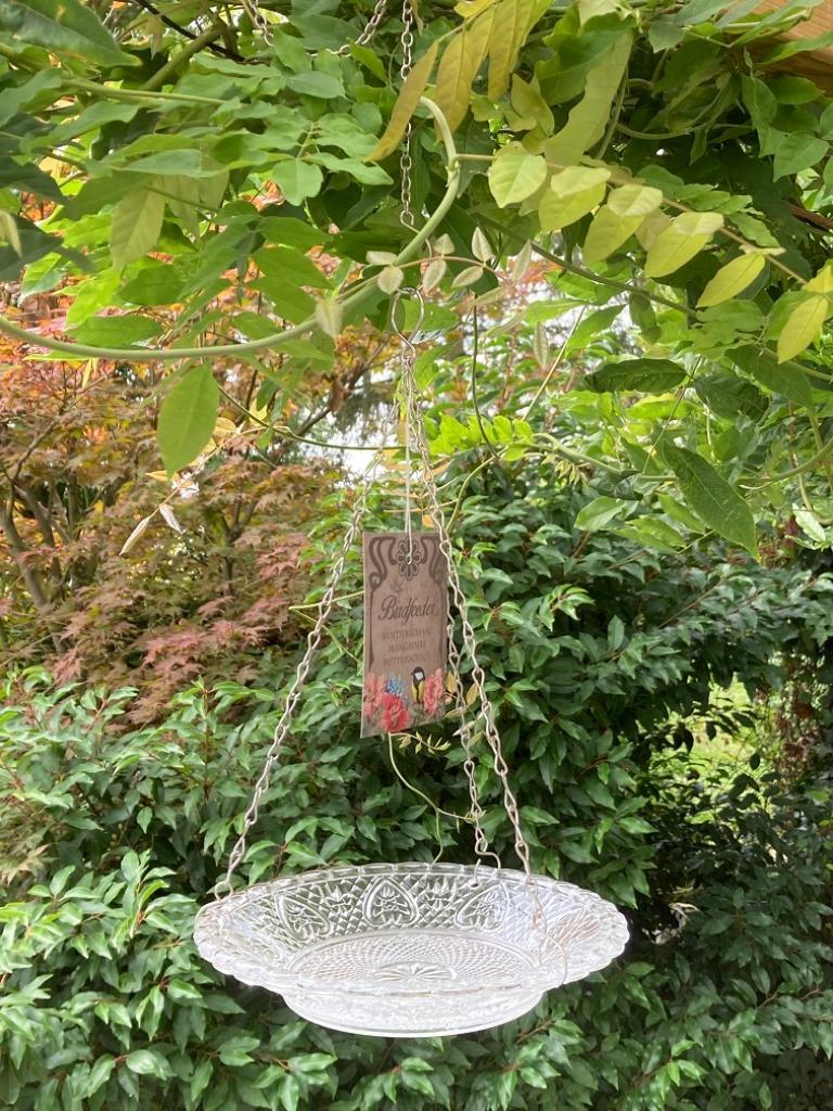 VOGEL VOEDERSCHAAL GLAS HELDER NIEUW, Enlèvement ou Envoi, Neuf