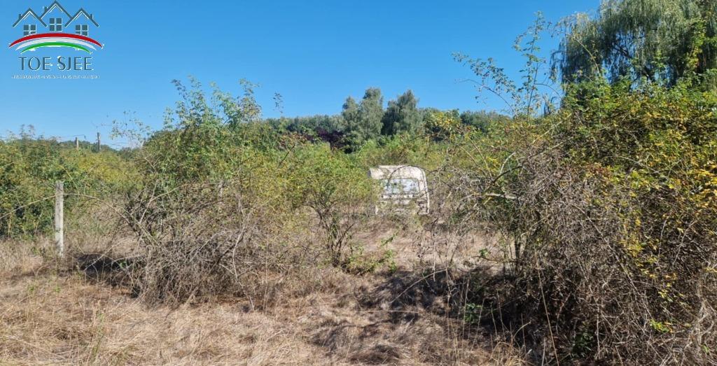 Grond te koop in Hongarije - Abádszalók (idn250618), Autres types, Europe autre, Ville