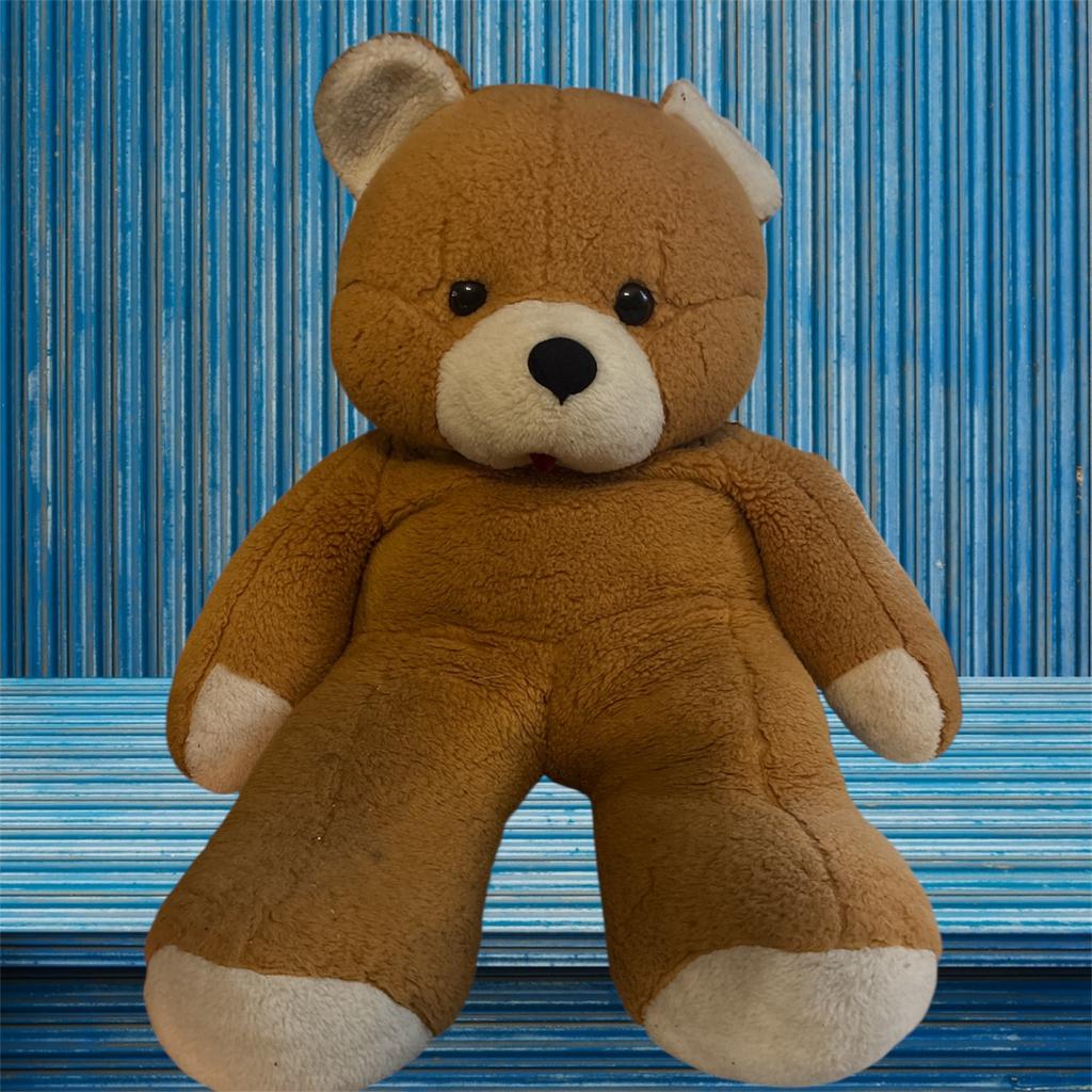 Teddybeer, Ophalen, Zo goed als nieuw, Stoffen beer