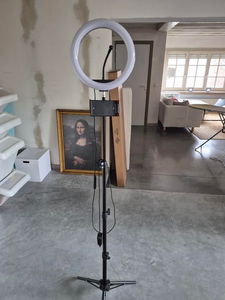 Te Koop Ringlamp, Ophalen