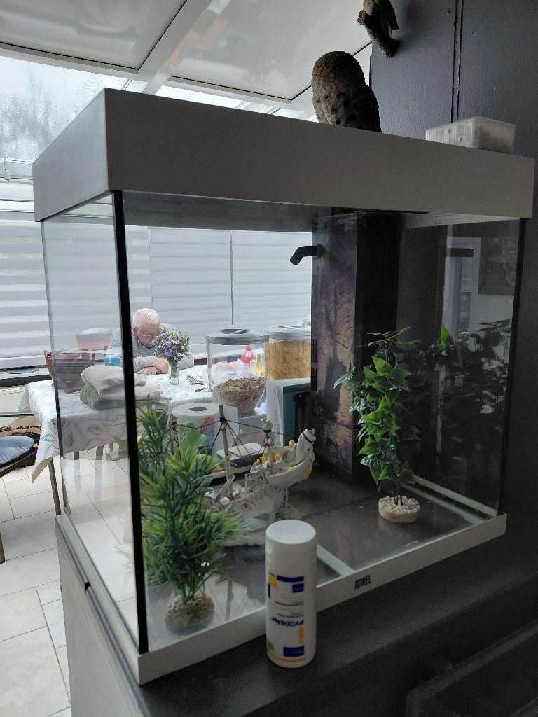 Aquarium, Animaux & Accessoires, Poissons | Aquariums & Accessoires, Enlèvement, Utilisé, Aquarium vide