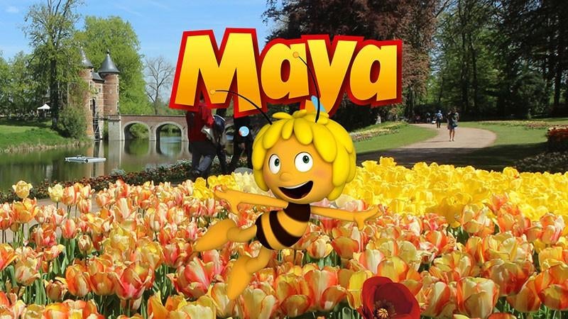 Floralia Brussels inclusief maya 1 ticket, Eén persoon