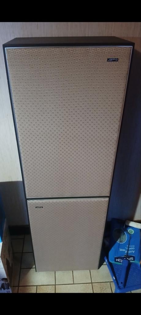 Haut-parleur Jamo, Enlèvement, Jamo