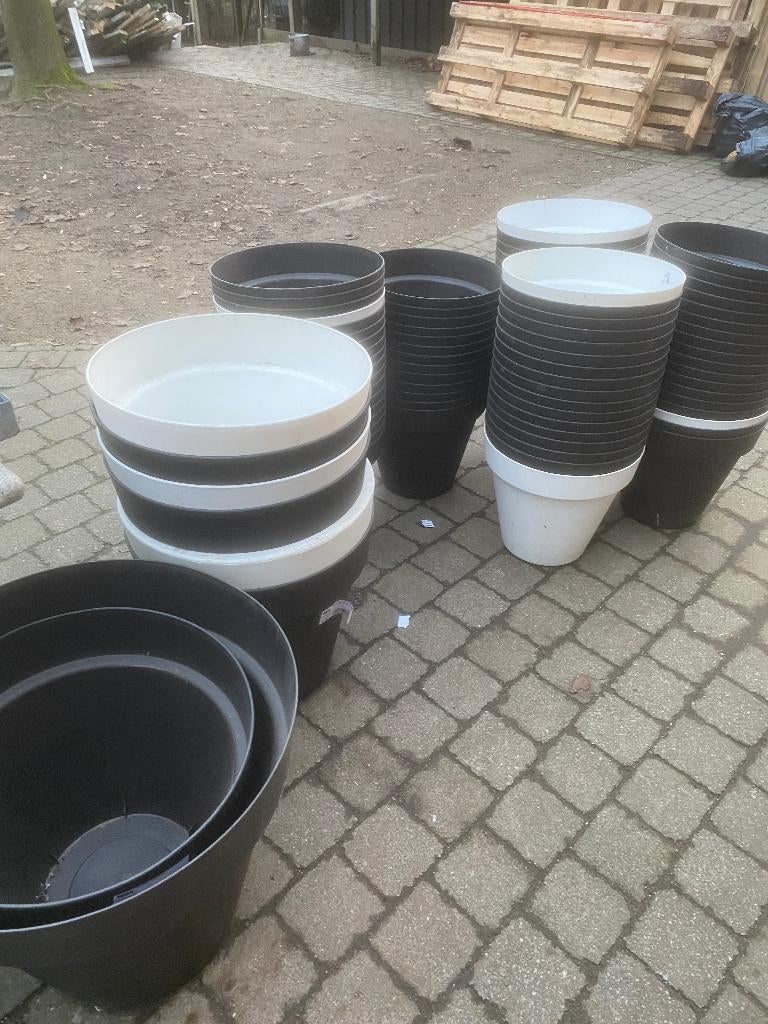 Bloem potten, Tuin en Terras, Bloempotten, Ophalen, Nieuw, Kunststof, Binnen