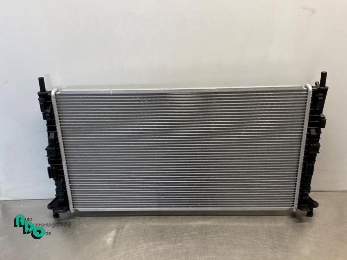 Radiateur van een Ford Focus (Focus 04-), -, -, Nieuw, Ophalen of Verzenden