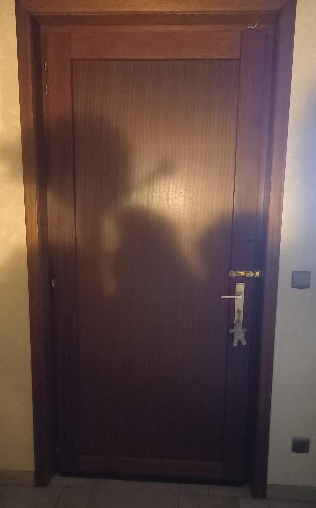 Buitendeur, huisdeur, voordeur, Gebruikt, 215 cm of meer, Buitendeur, Hout