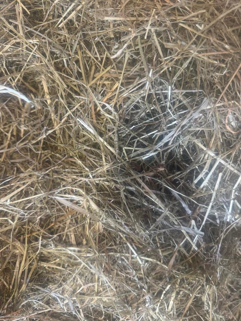 Grote balen hooi te koop, Dieren en Toebehoren, Ophalen, Overige soorten