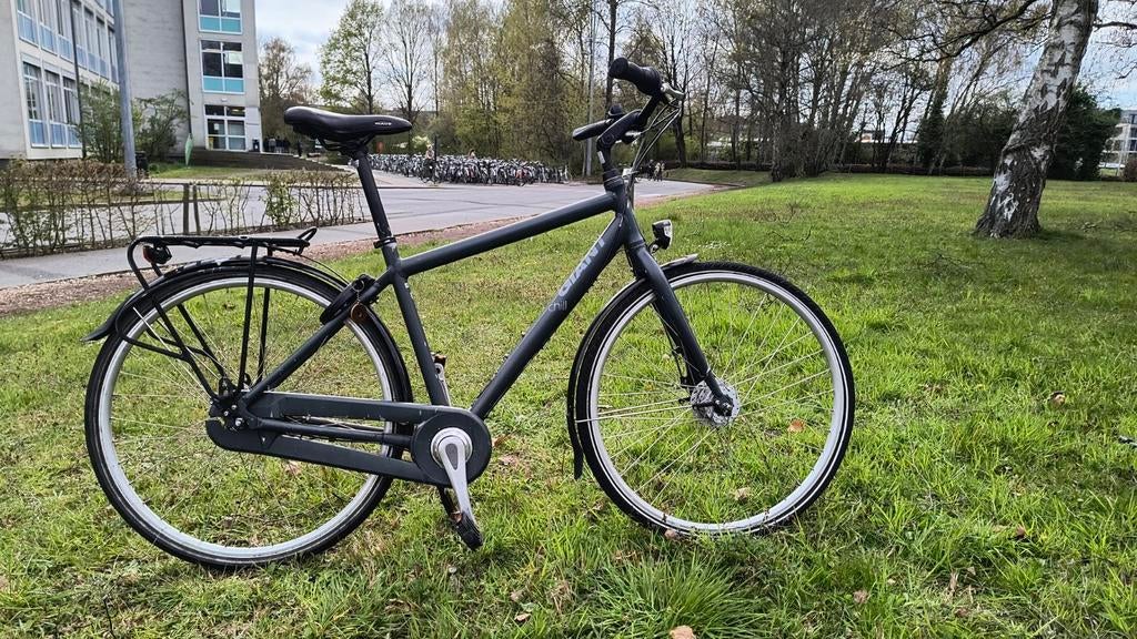 Herenfiets Giant, Fietsen en Brommers, Ophalen, Giant