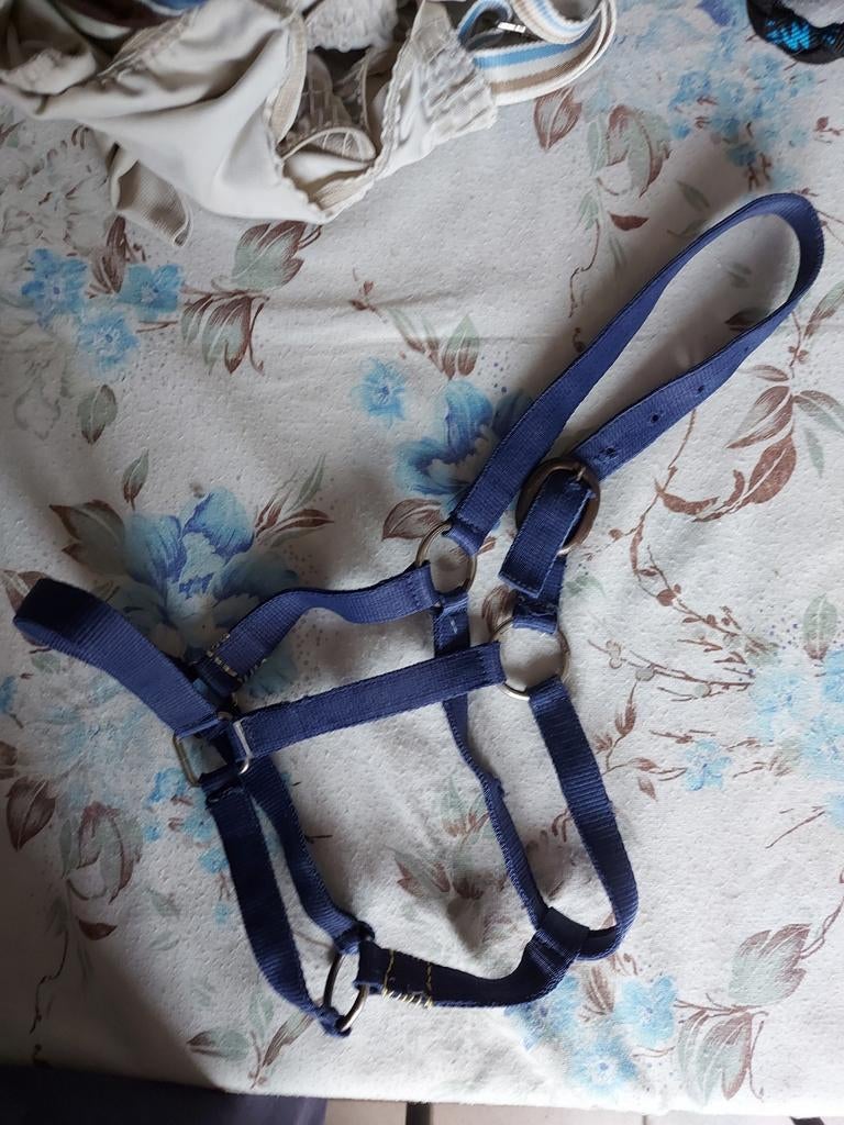 Licol full, Animaux & Accessoires, Enlèvement ou Envoi