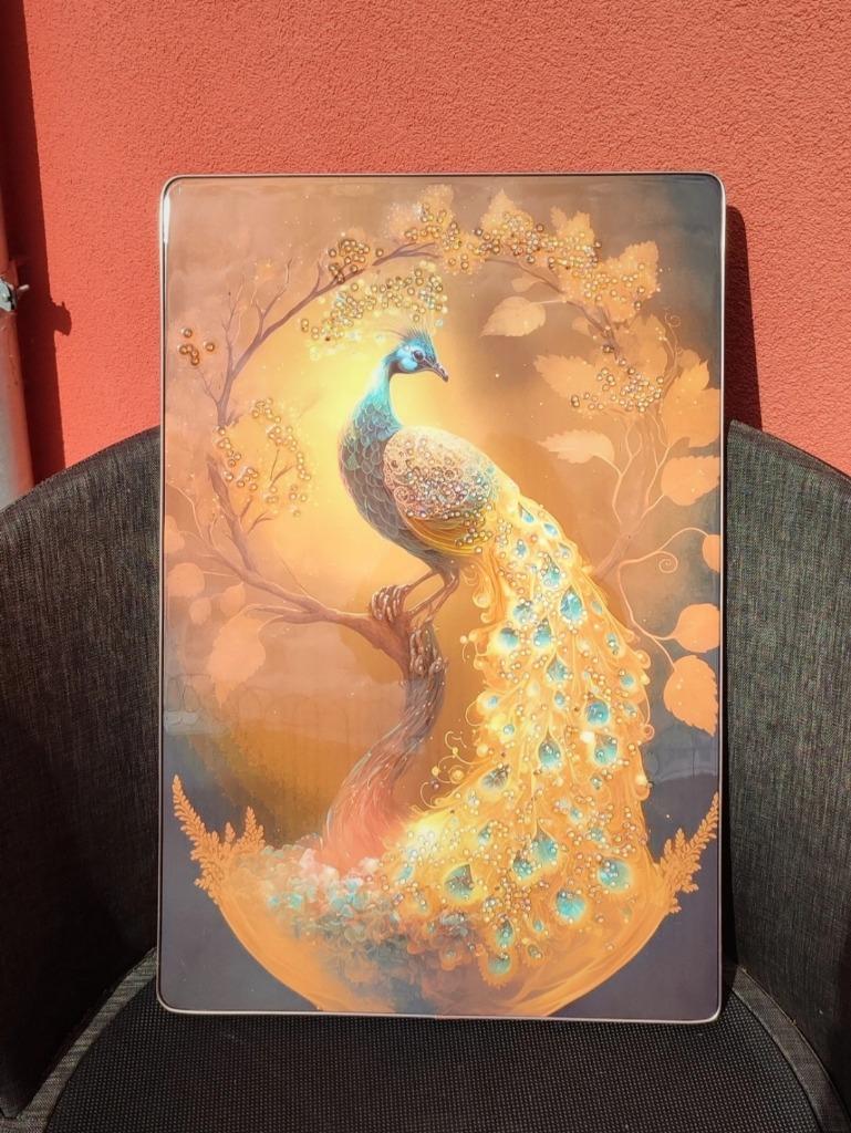 Cadre paon en relief, Enlèvement, Comme neuf, Moins de 50 cm, 50 à 75 cm