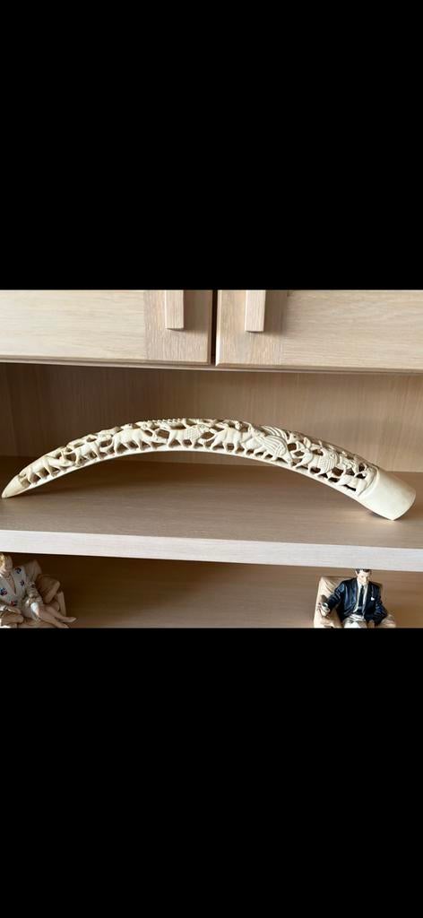 Imitation d'ivoire africain, Enlèvement