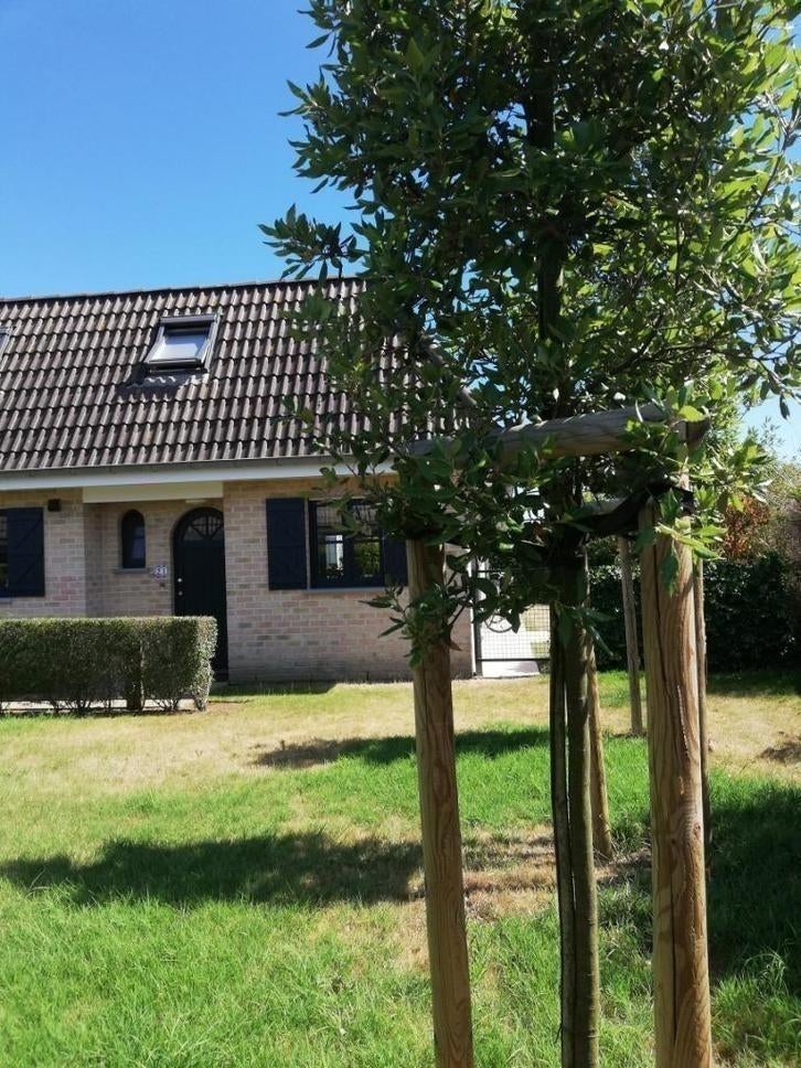 Last minute kindvriendelijke vakantiewoning Oostduinkerke