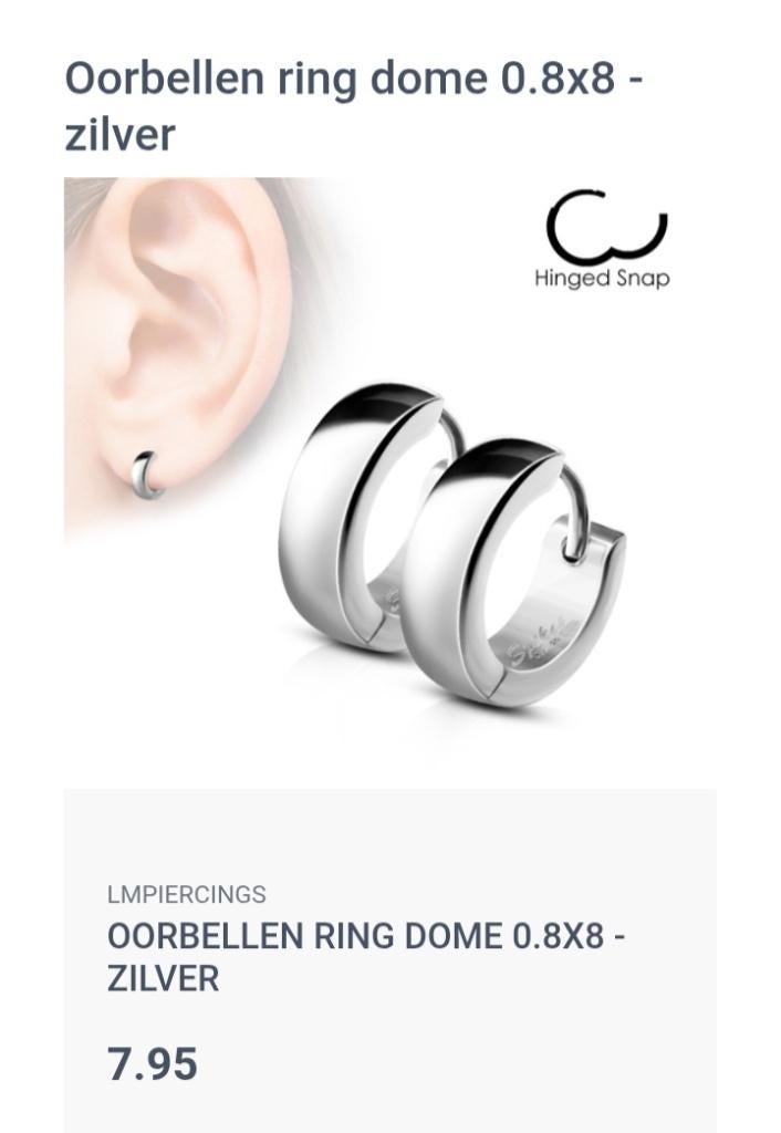 Piercings / oorbellen zilver, Handtassen en Accessoires, Piercings, Ophalen of Verzenden, Nieuw, Zilver, Oor- of Traguspiercing