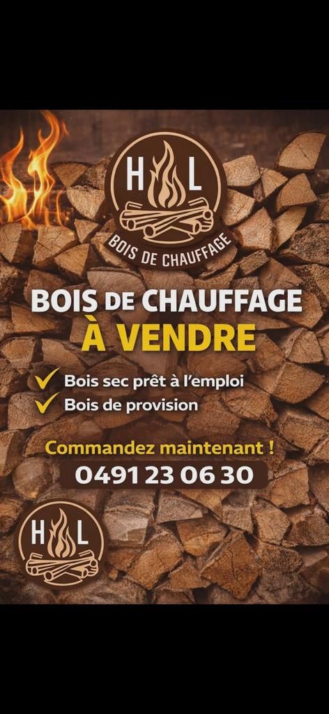 Bois de chauffage, Jardin & Terrasse, Bois de chauffage, Hêtre, Enlèvement ou Envoi