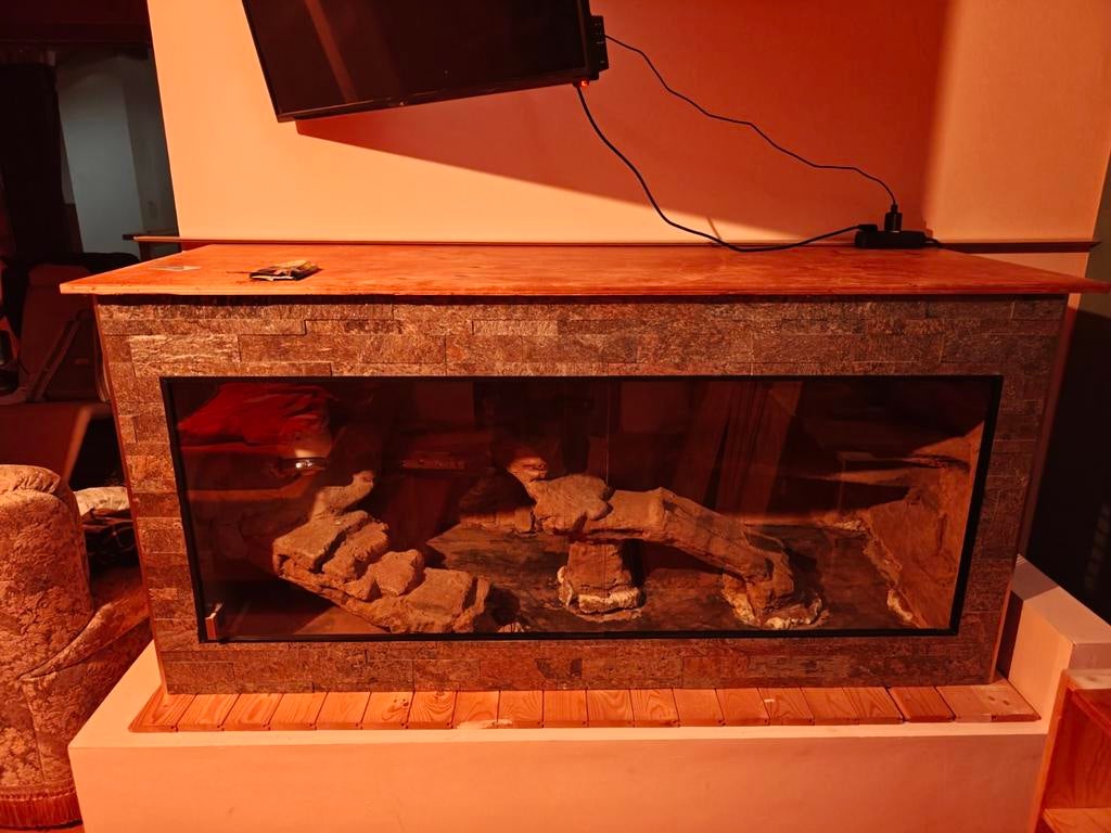 Terrarium 170x67x82cm, Dieren en Toebehoren, Ophalen, Gebruikt, Terrarium of Paludarium