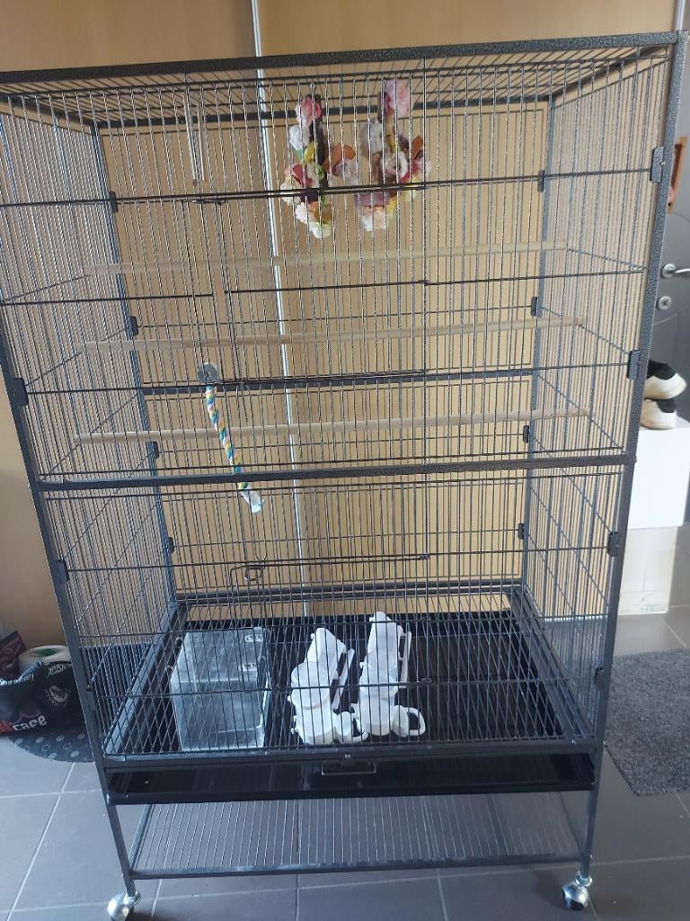 Ruime kooi, Ophalen, Zo goed als nieuw, Metaal, Volière