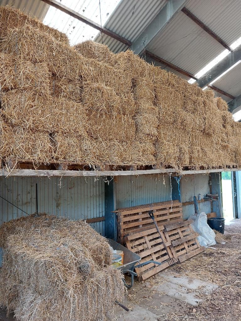 paille en petites balles 2025, Enlèvement