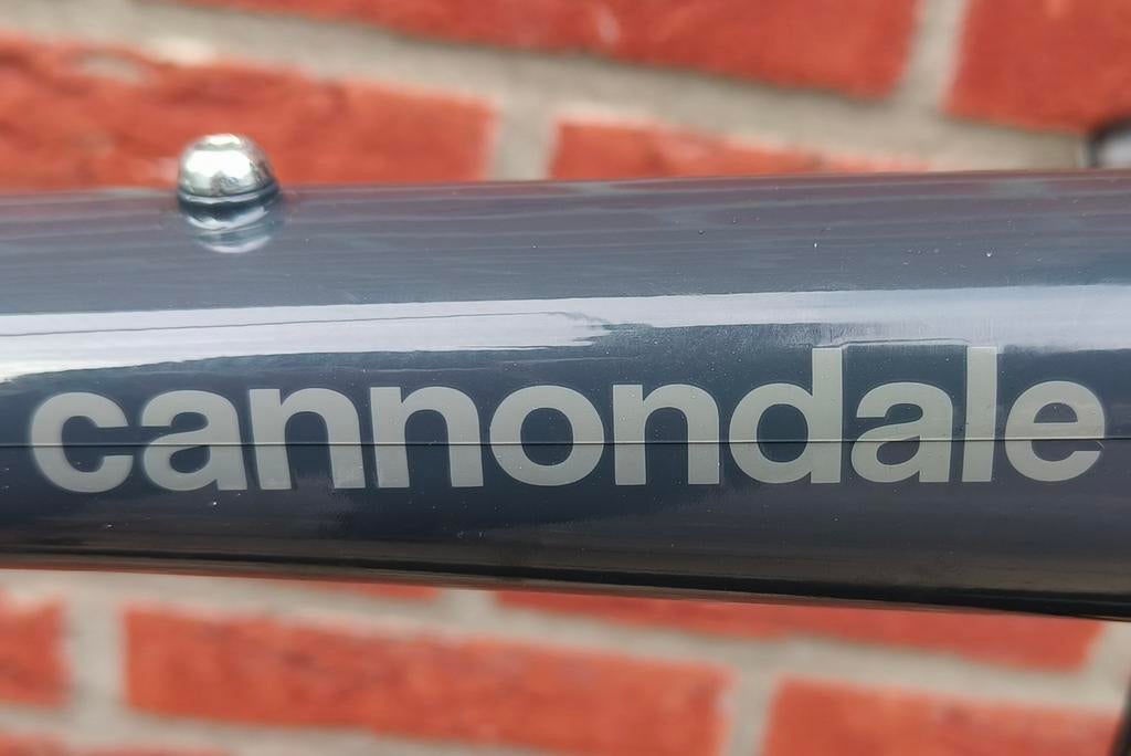 Vélo Gravel Topstone 1 de Cannondale, grand format, ZGAN, GR, Vélos & Vélomoteurs, Vélos | Vélos de course, Enlèvement, Carbone