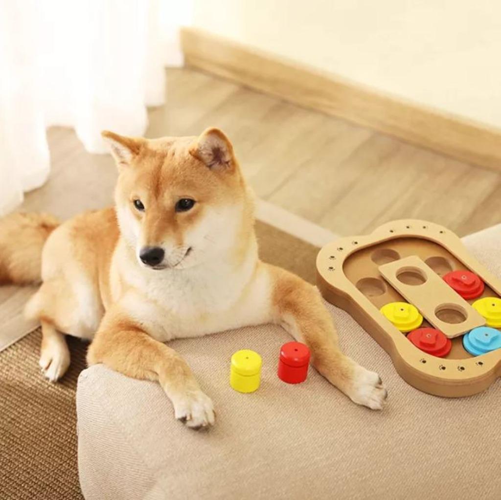 Hondenspeelgoed intelligentie speeltje puppy hond denkspel, Dieren en Toebehoren, Ophalen of Verzenden, Nieuw, Intelligentiespeelgoed