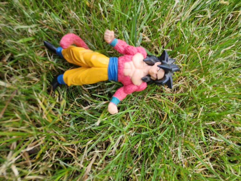 Dragon ball, Enlèvement ou Envoi