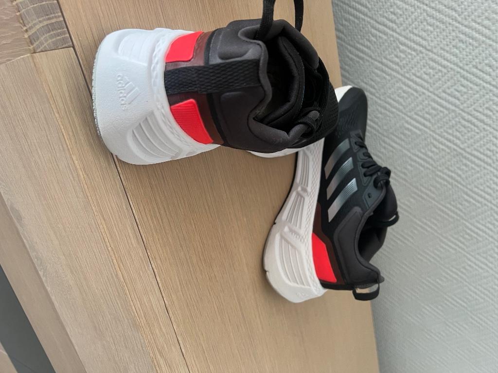 Basket addidas homme, Enlèvement, Neuf, Chaussures