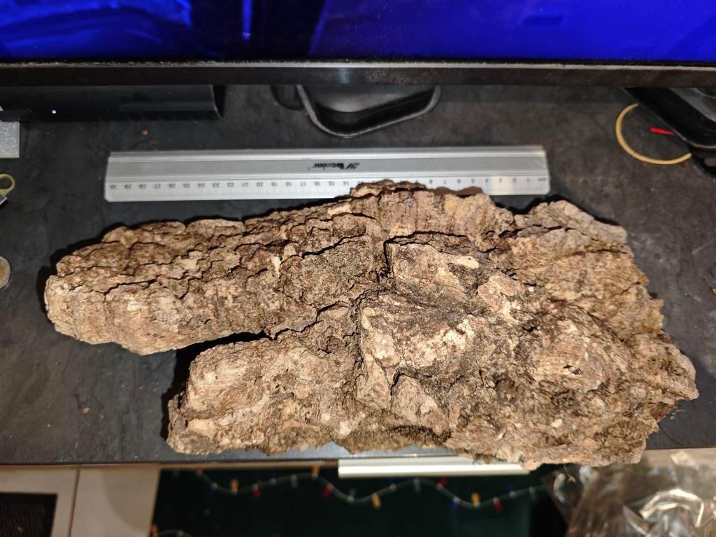 2 grote schorsplaten, samen 20€