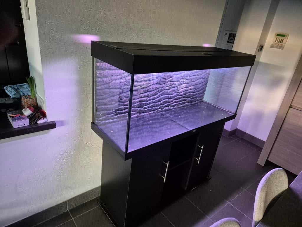 Aquarium juwel 240, Dieren en Toebehoren, Ophalen