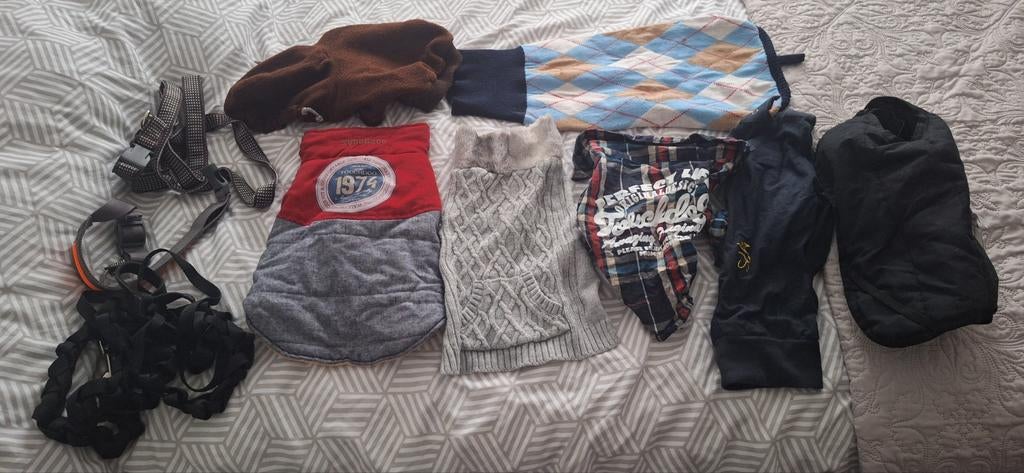 Hondenjasjes, Dieren en Toebehoren, Ophalen of Verzenden