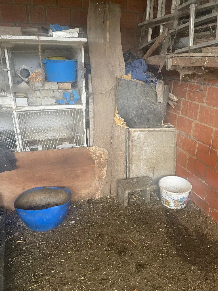 Vend clapier lapins en béton, Animaux & Accessoires, Enlèvement, Utilisé, Soins