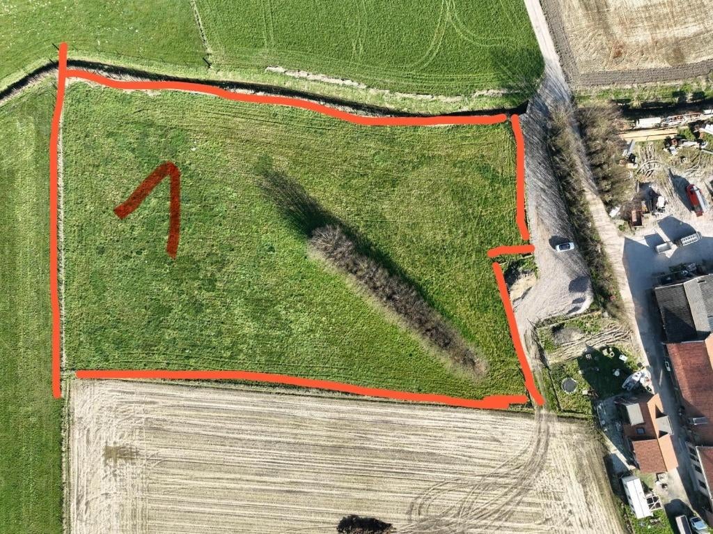 prairie pour chevaux à louer wervik, Animaux & Accessoires, Chevaux, Plusieurs animaux, Ne s'applique pas