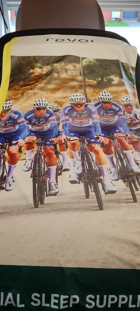 Affiche van Alpecin Decenink, Verzamelen, Posters, Rechthoekig Staand, Deurposter of groter, Nieuw, Ophalen of Verzenden