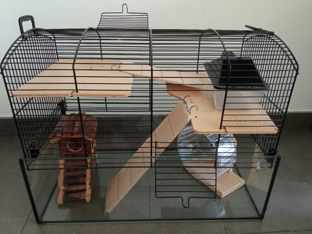 Cage pour hamster ou animal similaire, Animaux & Accessoires, Moins de 60 cm, Cage, Utilisé, Rat