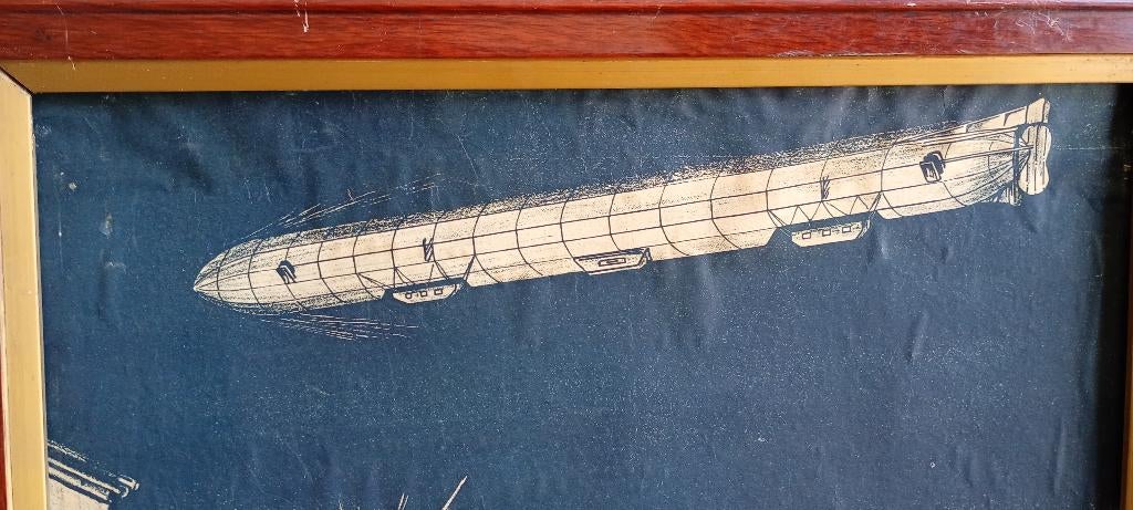 Bombardement d'Anvers par Zeppelin 1914, Ophalen, Overige soorten