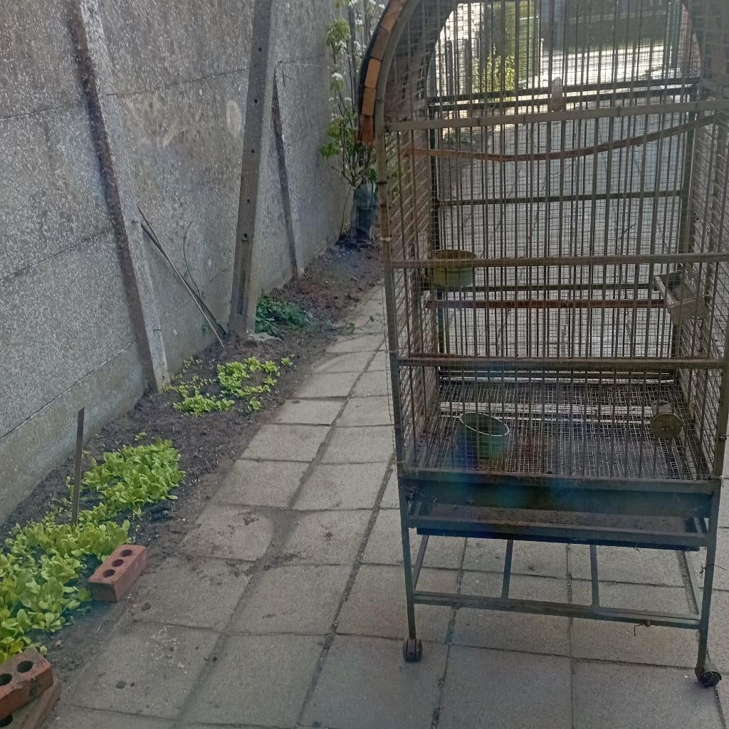 groot metalen vogelkooi, Enlèvement, Utilisé, Métal, Cage à oiseaux