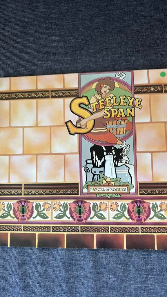 Steeley Span : parcel of rogues, Ophalen of Verzenden, Gebruikt