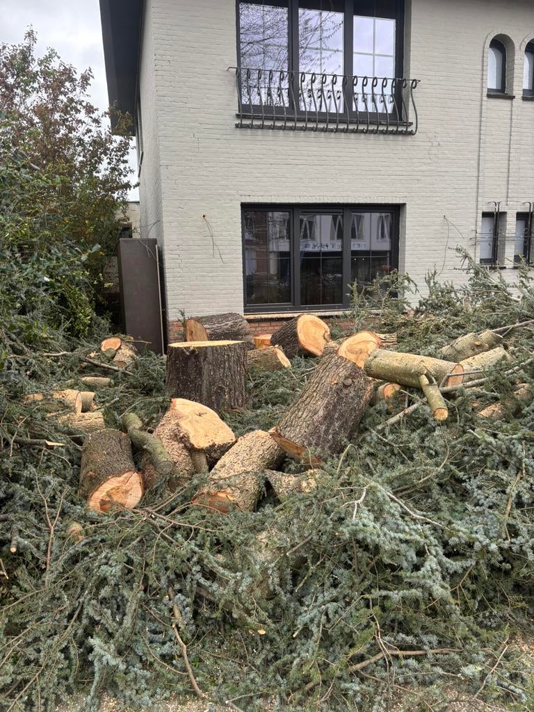 Gratis brandhout / boomstammen en takken, Tuin en Terras, Brandhout, Stammen, Ophalen