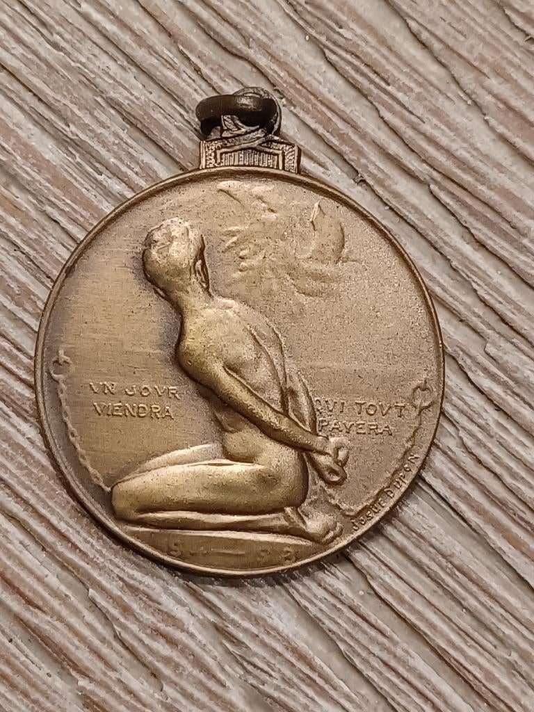 medaille wo1 antwerpen verdedigers hulde zeldzaam, Verzamelen, Ophalen of Verzenden, Overige soorten, Lintje, Medaille of Wings