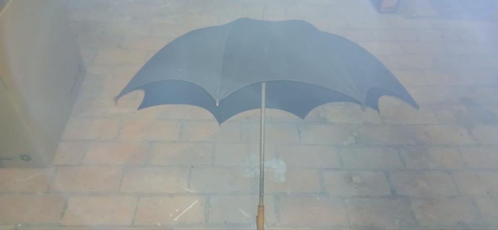 Paraplu, Ophalen of Verzenden