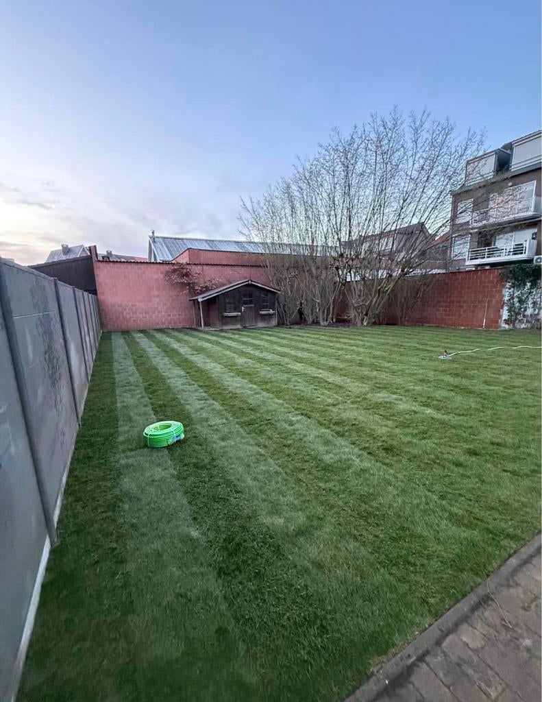 Pose de gazon en rouleau – Pelouse instantanée !, Jardin & Terrasse, Gazon & Gazon artificiel, Enlèvement ou Envoi, Comme neuf