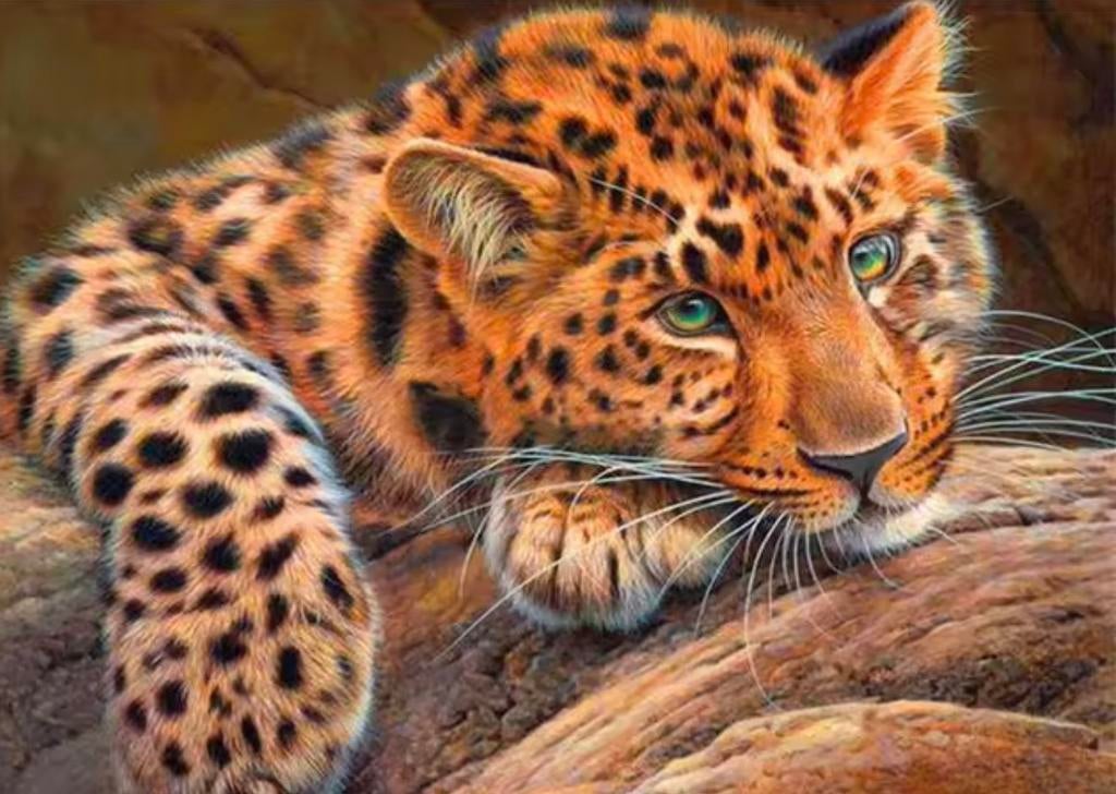 verschillende diamond paintings, Hobby en Vrije tijd, Ophalen